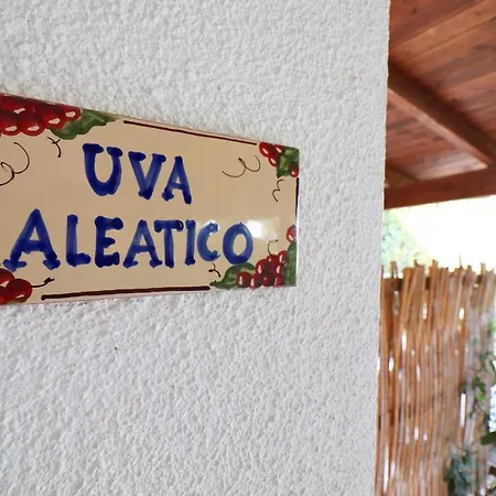 Holiday home Casa Aleatico Torre Santo Stefano Otranto